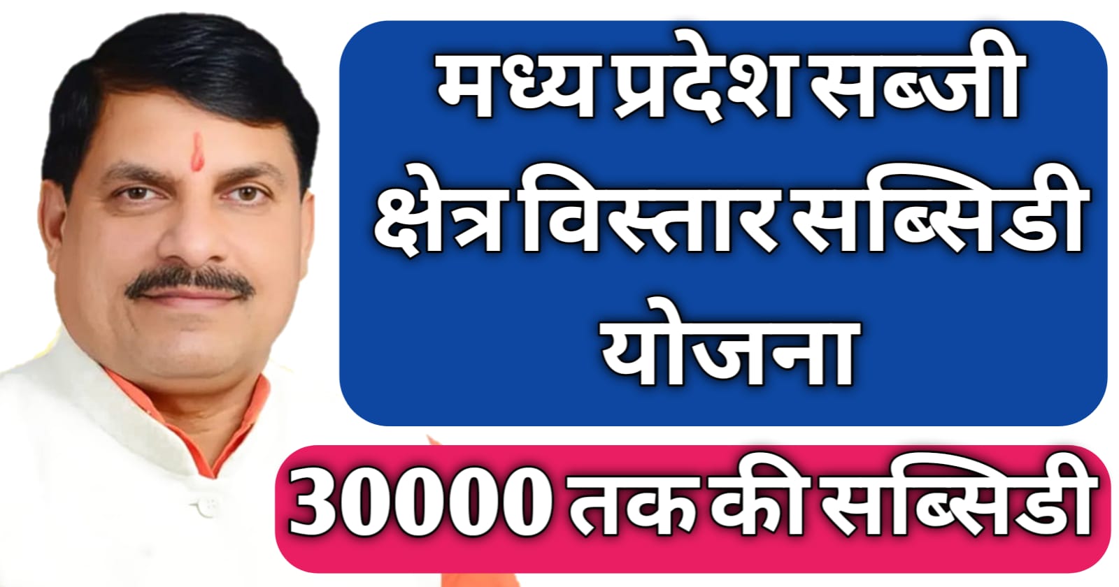 mp sabji kshetra vistar subsidy yojana